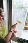 CLING ON Window Film - Click here to read more...